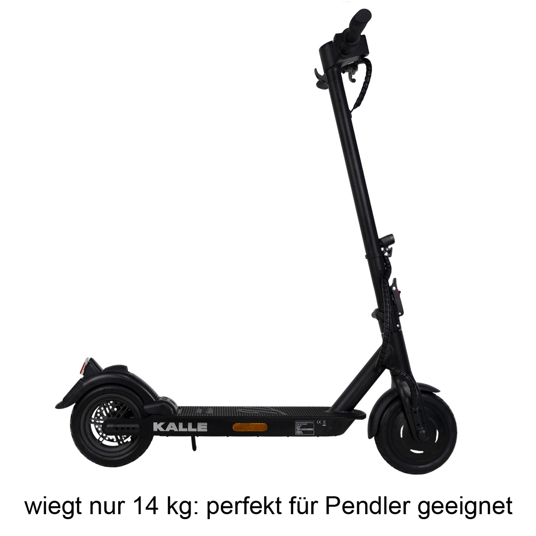 003_trittbrett-kalle-escooter-eroller-gewicht