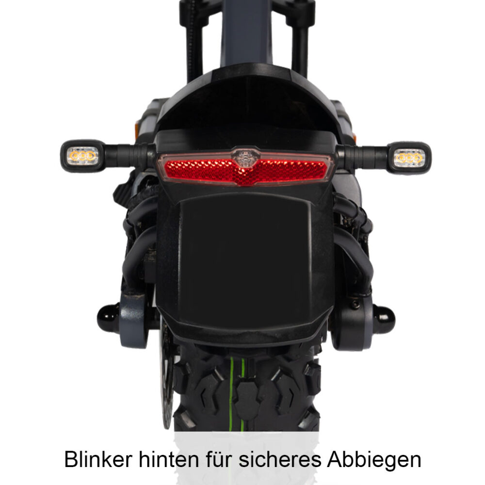 trittbrett hilde escooter elektroscooter detailaufnahme von hinten mit rücklicht und blinkern